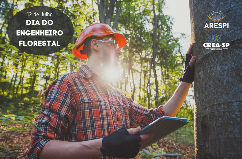 Cópia de 06 de maio 12 de Julho: Dia do Engenheiro Florestal